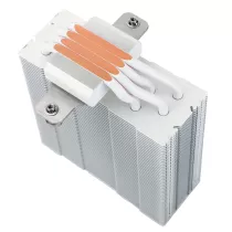 Assassin-Spirit-120-WH