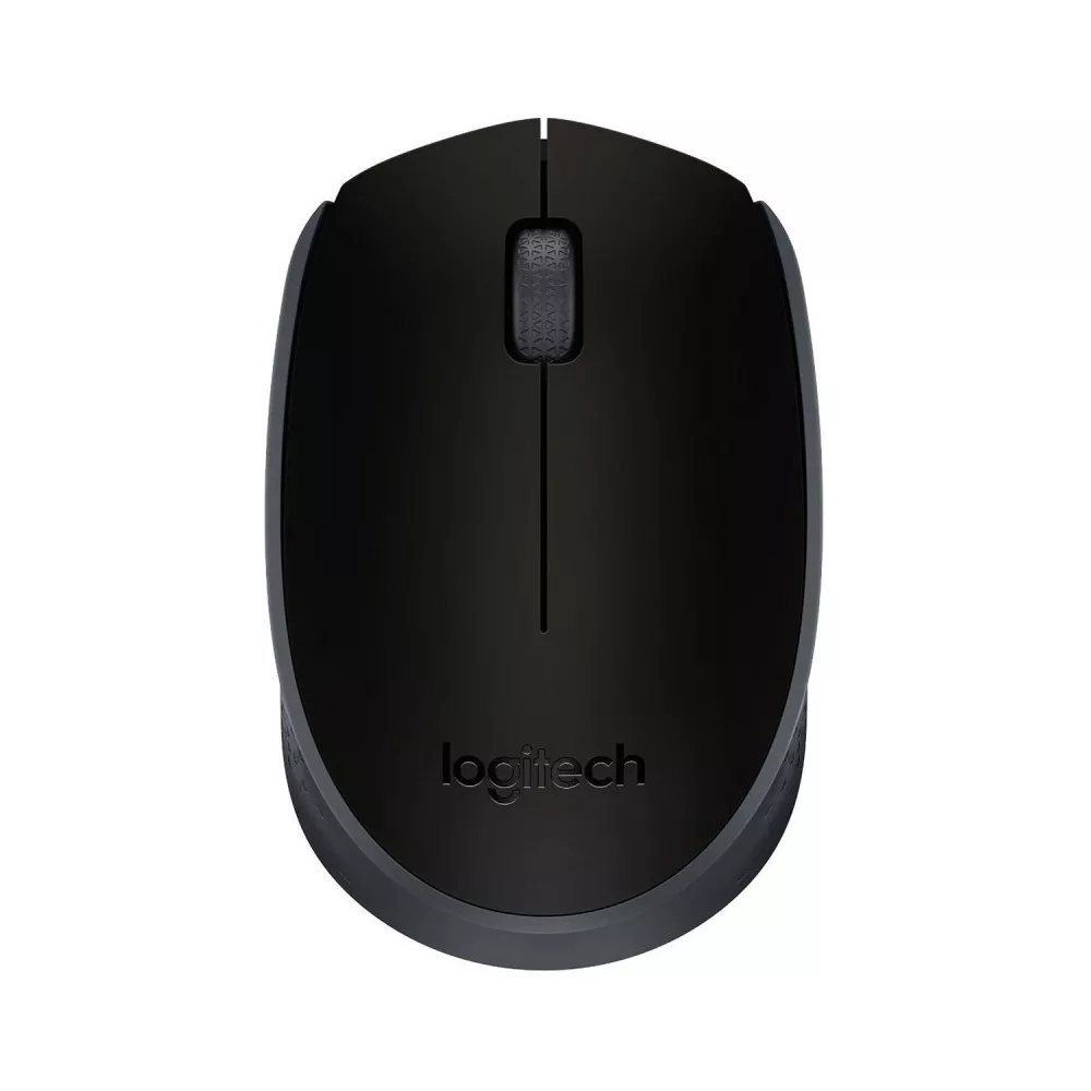 Souris Sans Fil Logitech M171